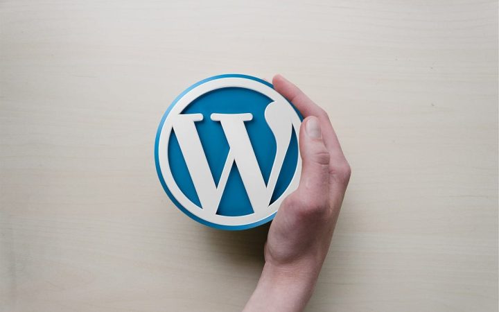 16 Steps to Learn WordPress Development Like a Pro