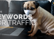 Covid Lockdown Trending Keywords for Traffic