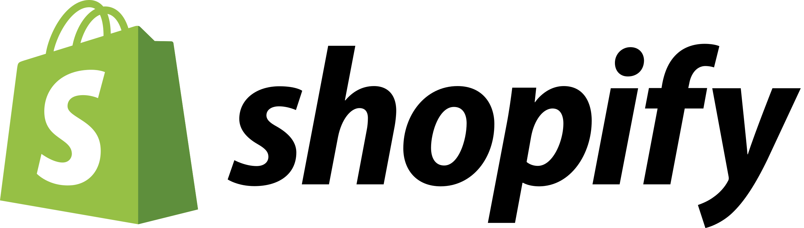 Digital Marketing Course in Nashik - Shopify